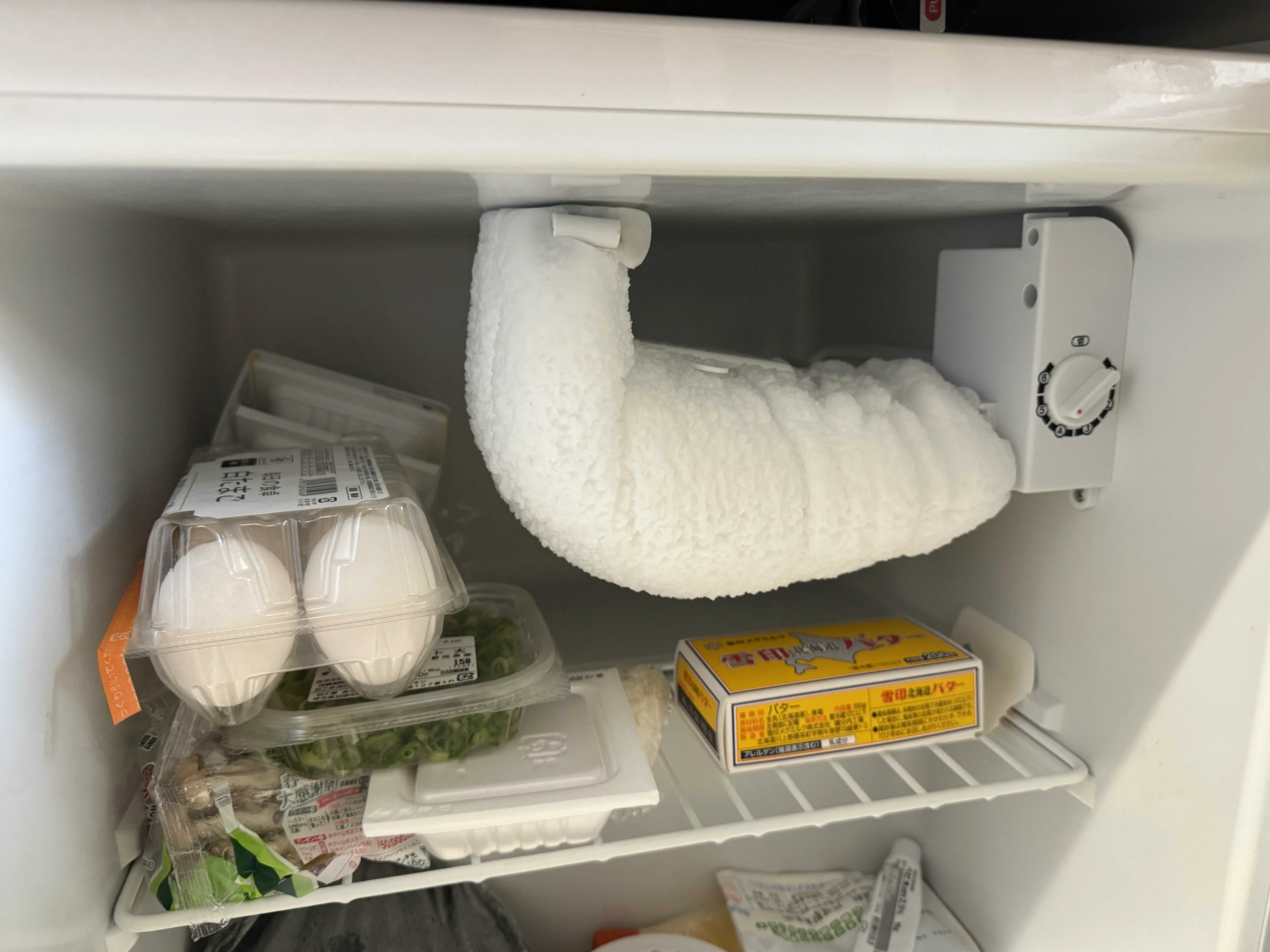 冷蔵モードで使用中の庫内(卵・野菜・バターなど)